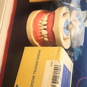 Dental model kit